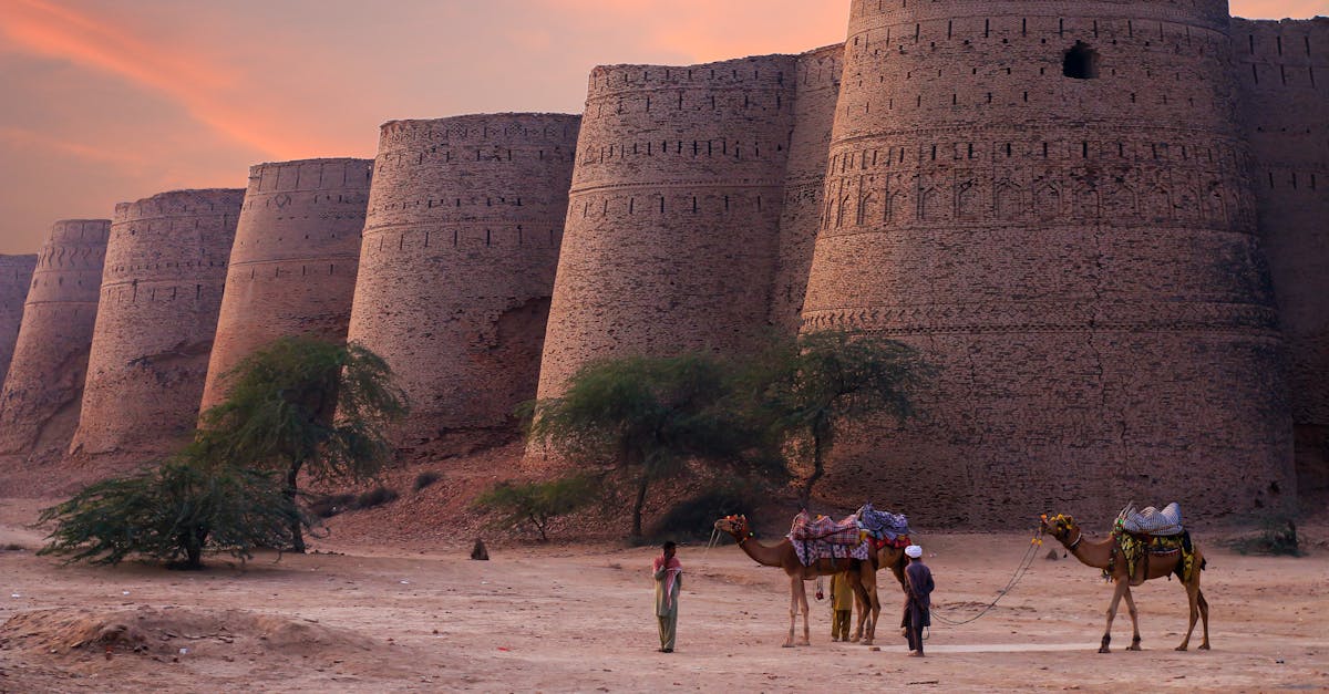 découvrez le meilleur du tourisme à travers le monde : des destinations incontournables, des conseils pratiques, et des expériences inoubliables qui enrichissent vos voyages. explorez des cultures variées, savourez des cuisines exotiques et plongez dans l'aventure !
