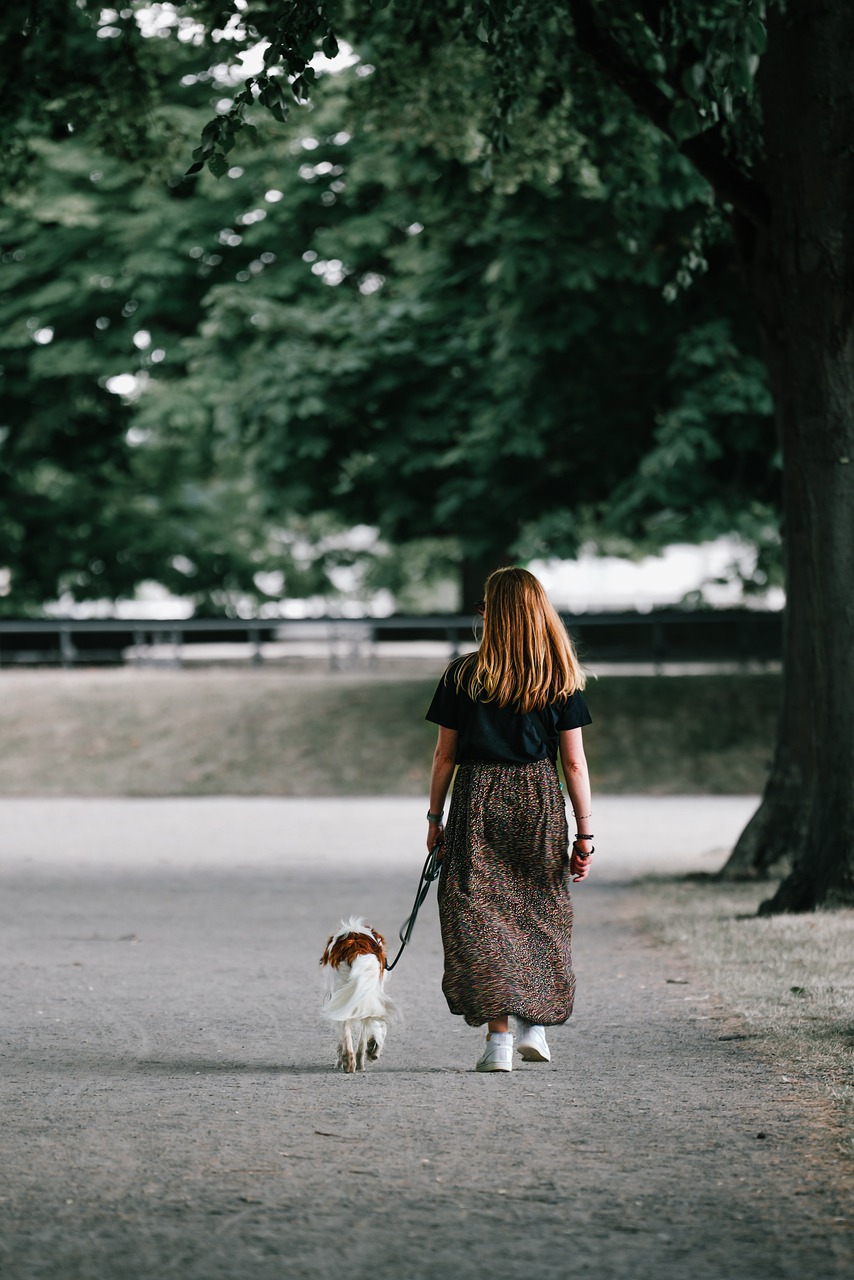 découvrez l'histoire à travers une promenade captivante qui vous plonge dans les événements marquants du passé. explorez les rues pavées et les monuments emblématiques tout en apprenant des anecdotes fascinantes sur l'évolution de notre patrimoine.