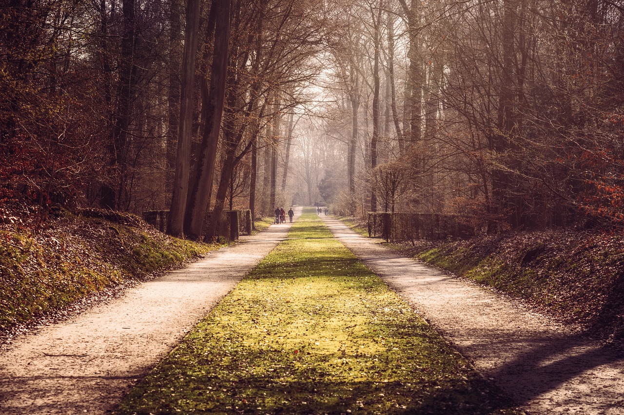 découvrez un parcours fascinant à travers l'histoire avec notre 'historical walk'. explorez des sites emblématiques et plongez dans les récits d'époques révolues, tout en profitant de l'environnement culturel qui vous entoure. une expérience enrichissante pour tous les passionnés d'histoire.
